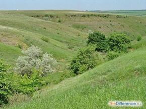 0602cp7n-1c1e-290x217.jpg