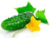 0602cpt8-fb20-166x126.png