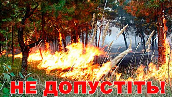 Дотримуйтесь правил пожежної безпеки в лісі | Оболонська районна в місті Києві державна адміністрація