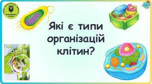 Типи організації клітин