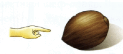 0602ct3e-5f06-423x187.png