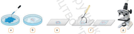 0602ctmu-1078-446x113.png