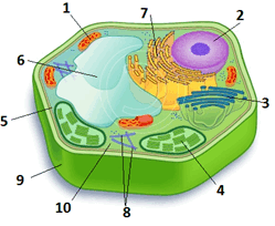 0602ctub-14ee-306x251.png