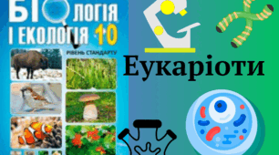 Еукаріоти