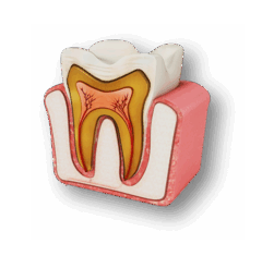 0602d3f9-8f6b-251x235.png