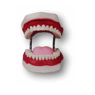0602d3fp-00a3-308x308.png