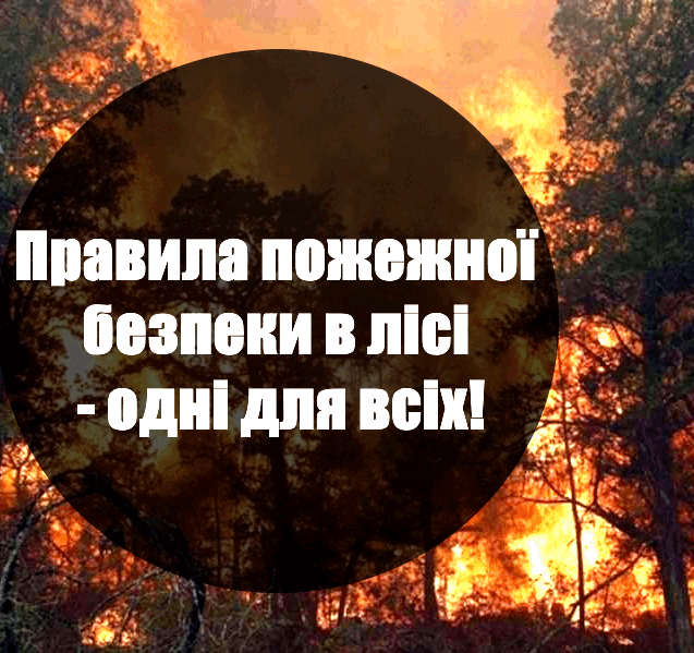 0602d57j-c5e7-637x599.png