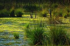 0602d5fh-fc6e-654x436.jpg
