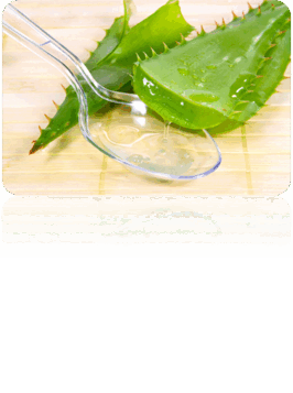 0602d65g-e9f0-266x357.png