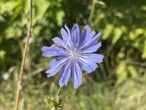 0602d9qg-3964-940x705.jpg