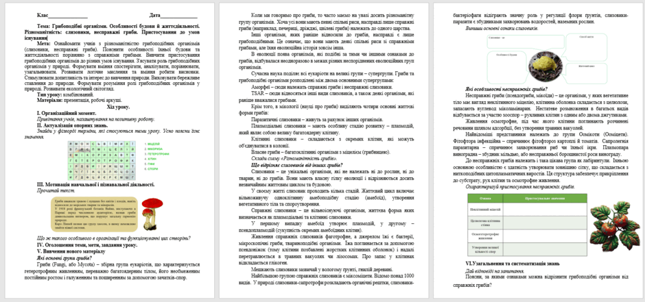 0602d9zb-6347-940x441.png