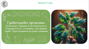 Урок на тему "Грибоподібні організми. Особливості будови й життєдіяльності. Різноманітність: слизовики, несправжні гриби. Пристосування до умов існування" (Конспект, презентація, робочі аркуші)