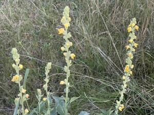 0602day4-1ad8-940x705.jpg
