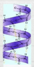 0602dc2j-ad8e-111x218.png