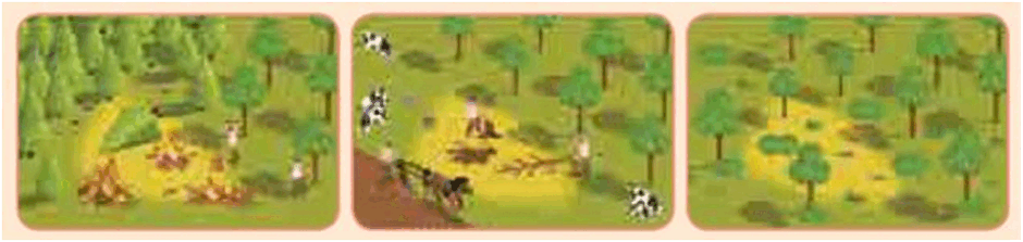 0602dcmj-8912-940x223.png