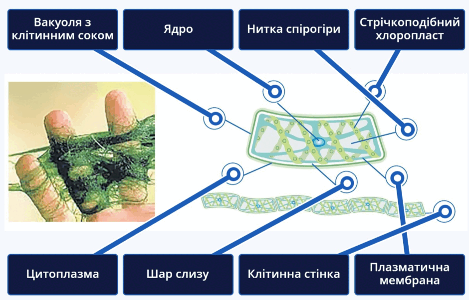0602de8b-cc12-940x602.png