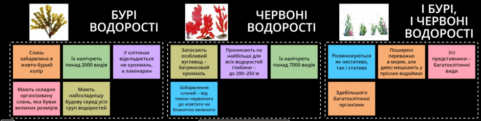 0602demf-60d0-940x237.png