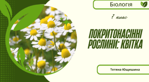 Покритонасінні рослини: Квітка. 7 клас. НУШ