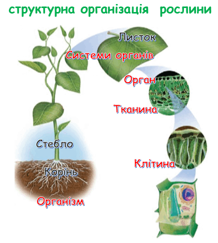 0602depu-bfd1-435x485.png