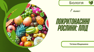 Покритонасінні рослини: Плід. 7 клас. НУШ