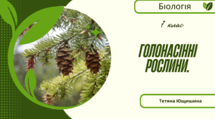 Голонасінні рослини. 7 клас. НУШ