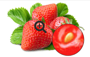 0602dnbg-3966-302x192.png
