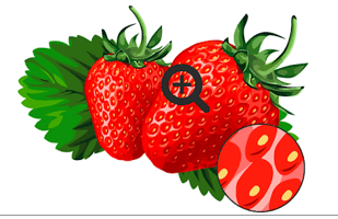 0602dnc9-5a22-309x200.png