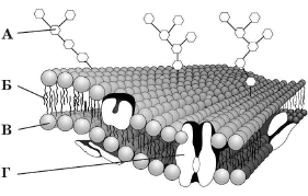0602dnv7-d166-281x179.png