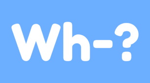 Wh-questions test 