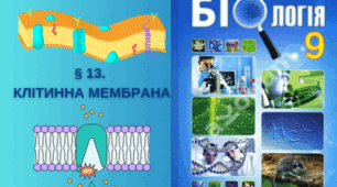 Клітинна мембрана