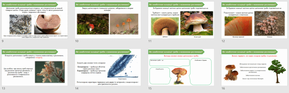 0602dseq-72f4-940x304.png