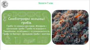 Урок на тему "Симбіотрофні асоціації грибів. Гриби та наземні рослини. Мікориза і шапинкові гриби. Гриби та водорості. Лишайники, особливості та різноманітність. Гриби та бактерії. Дріжджеві гриби і зооглея" (Конспект, презентація, робочі аркуші)