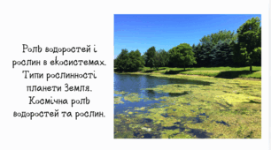 Роль водоростей і рослин в екосистемах. Типи рослинності планети Земля. Космічна роль водоростей та рослин.