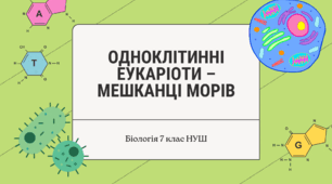 ПРЕЗЕНТАЦІЯ+КОНСПЕКТ. Одноклітинні еукаріоти - мешканці морів (7 клас НУШ)
