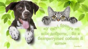 Конспект заняття  в старшій групі      На тему «У світі бракує на всіх доброти бо є безпритульні собаки й коти»