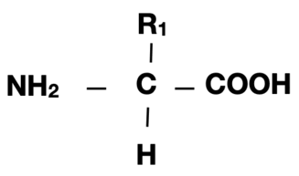 0602dyl3-4749-327x193.png