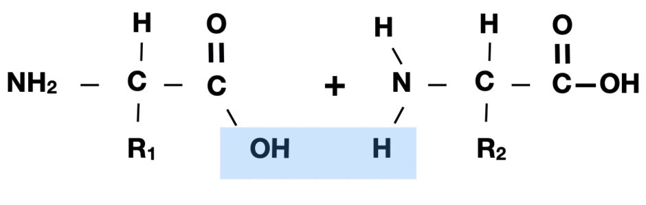 0602dylm-01dd-940x299.png