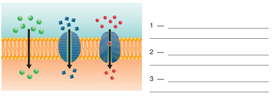 0602e21f-03a8-894x308.png