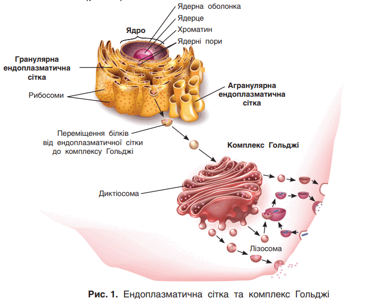0602e3jo-ee7d-717x585.png