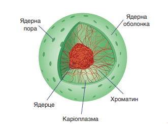 0602e3oz-f6c2-331x244.png