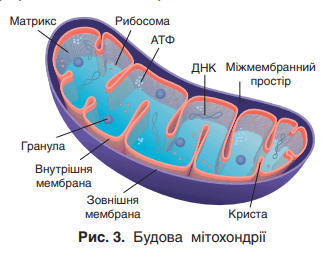 0602e3pw-f0d6-333x258.png