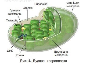 0602e3qj-ee99-368x292.png