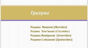 Гризуни. Презентація
