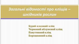 Загальні відомості про кліщів. Презентація