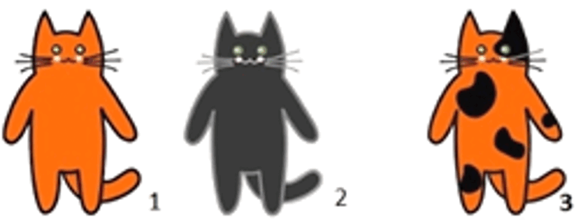 0602eavs-4fcc-832x319.png
