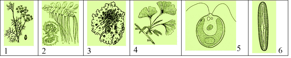 0602eazr-2c97-940x189.png