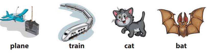 0602ebzs-8ef6-814x217.png