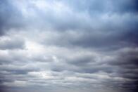 0602eckl-3414-196x131.jpg