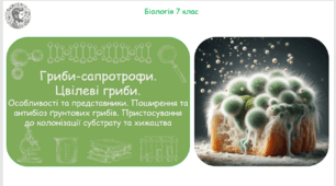 Урок на тему "Гриби-сапротрофи. Цвілеві гриби. Особливості та представники. Поширення та антибіоз ґрунтових грибів. Пристосування до колонізації субстрату та хижацтва" (Конспект, презентація, робочі аркуші)