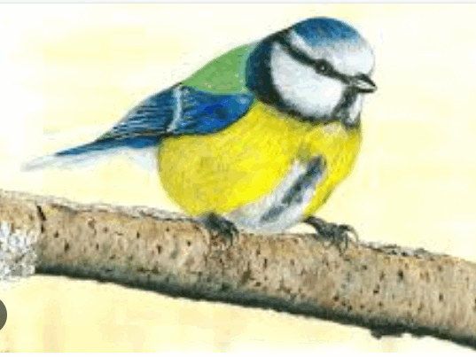 0602edzm-f93f-537x403.png